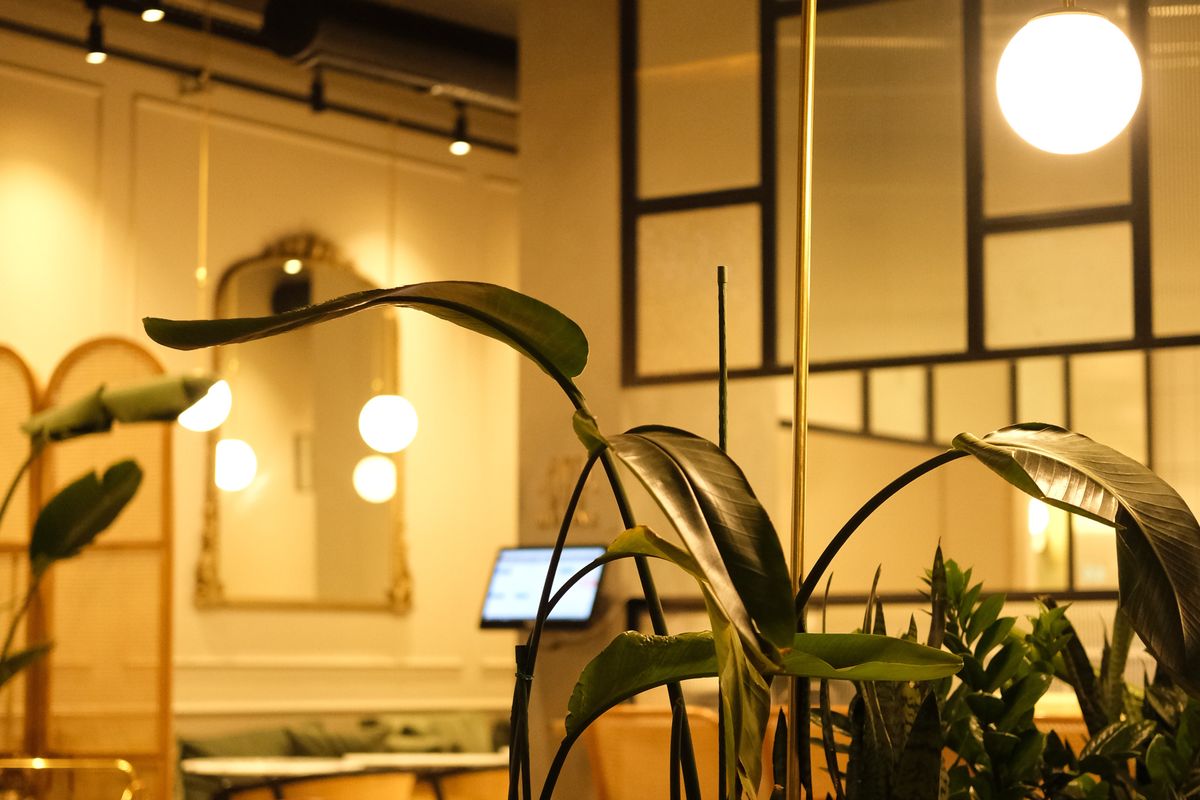 Restaurants & Hospitality business